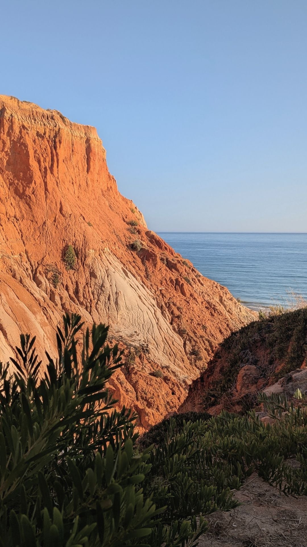 Red cliffs and coastline of Portugal